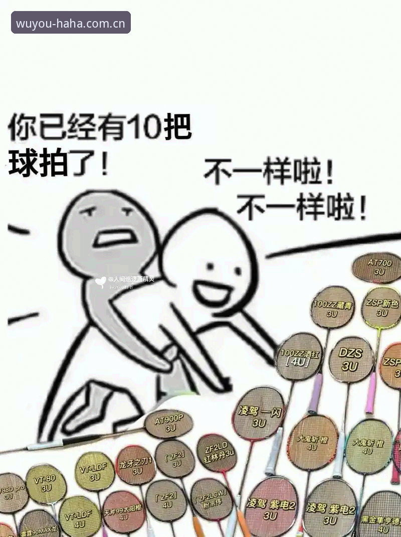 哈哈体育最新入口评测：从安装到体验的完整技术解析