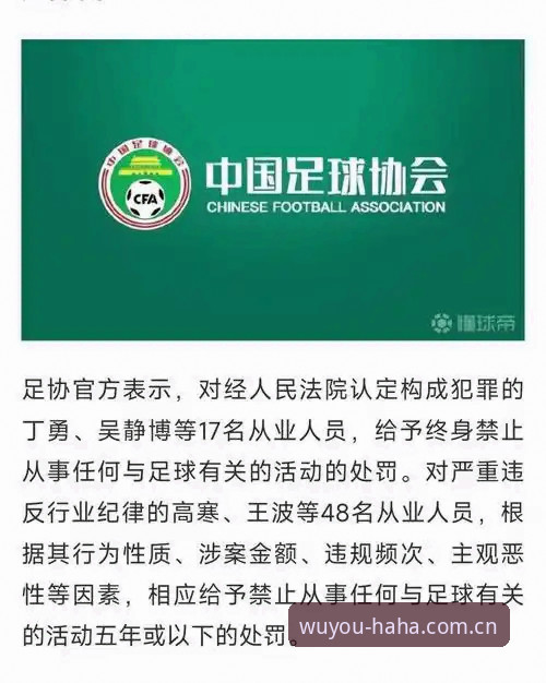 中国足协第三批禁足名单详解：行业乱象与重塑新思路